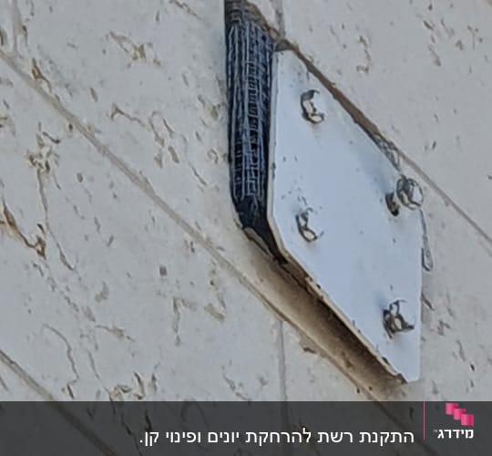 מתקן מתכת על קיר אבן עם ברגים